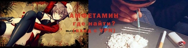 стаф Пересвет