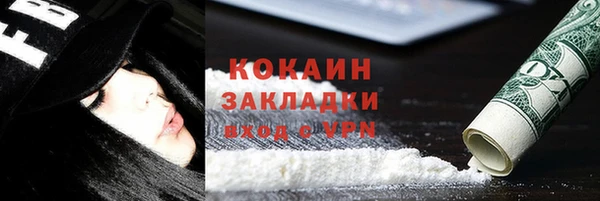 бошки Осинники