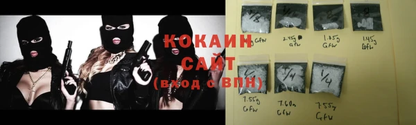 бошки Осинники