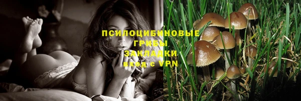 прущая мука Осташков