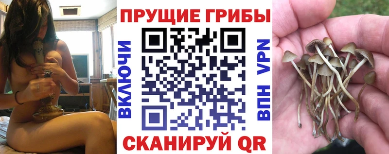 где найти наркотики  Калачинск  Галлюциногенные грибы Magic Shrooms 